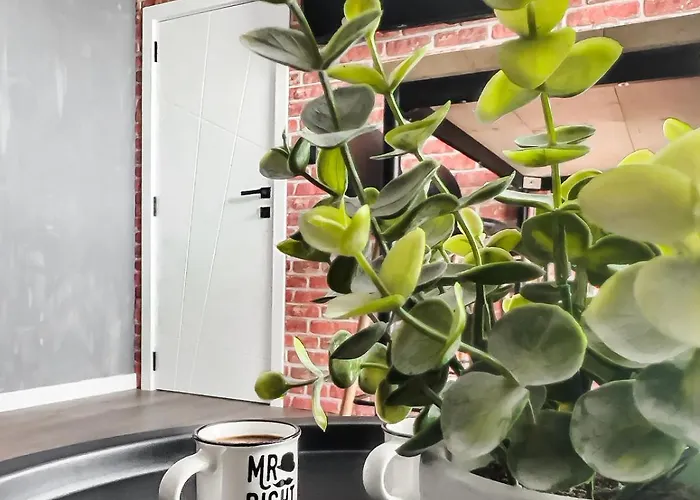 Boutique Loft, Center *